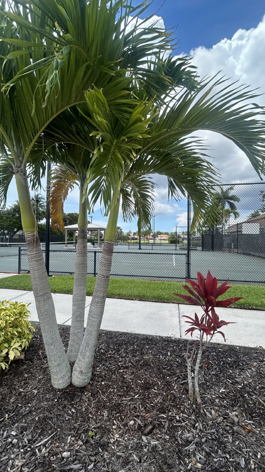 Beautiful 3/2 Single family Home property image