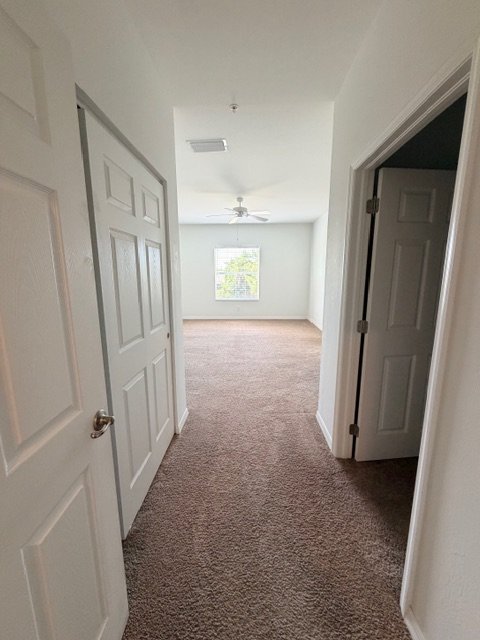 13430 Hidden Palms cove #20 property image