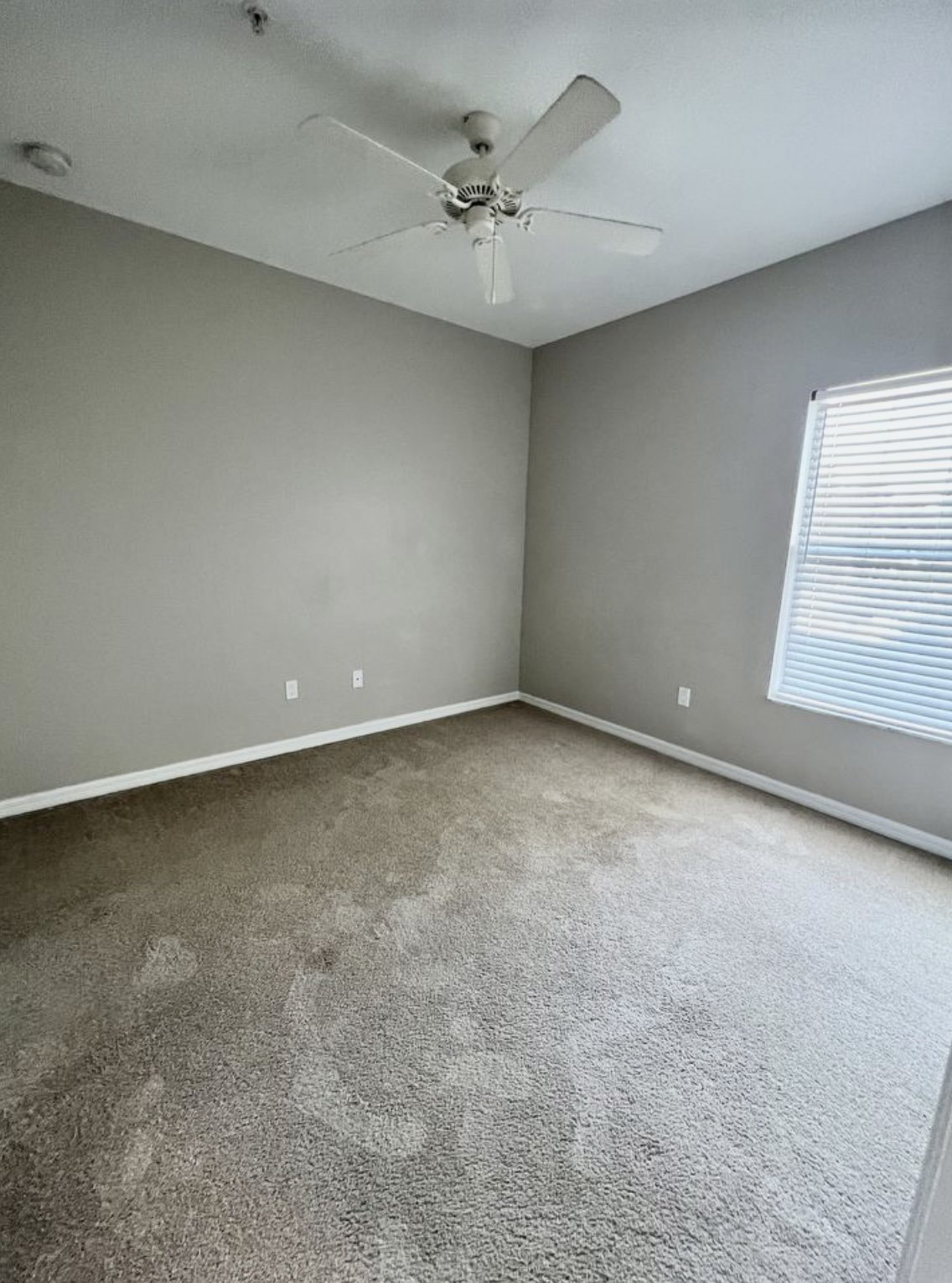 Half off first months rent! 2/2 in Coconut Shores property image