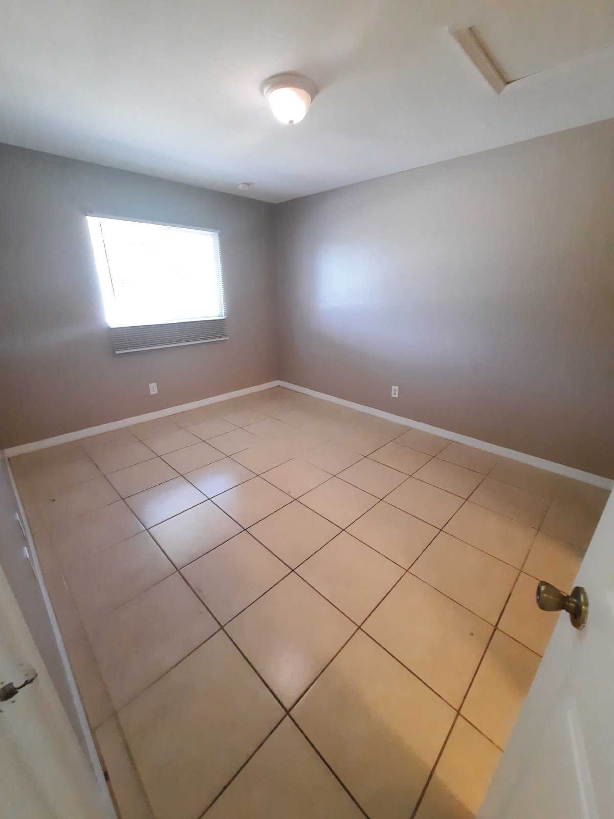 Poplar Street property image